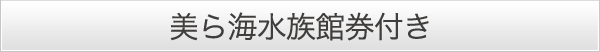 おすすめプラン